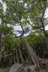 Patagonia mountains