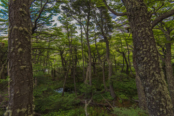 Obraz premium Patagonia mountains