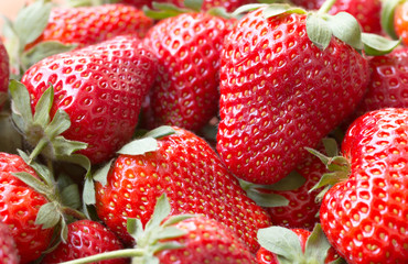 Closeup photo of Strawberries 