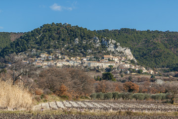 Fototapeta na wymiar View to Seguret medieval village and grape rows, Provence, France