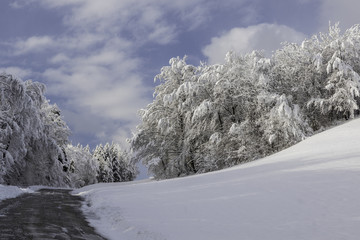Massif de la Chartreuse - Grésivaudan - Isère.