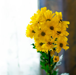 yellow flowers background