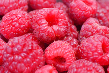 Raspberry fruit