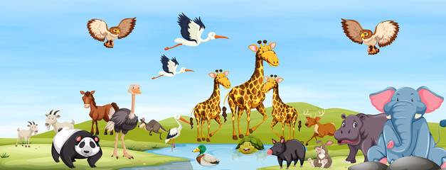 Happy Animals in the Nature