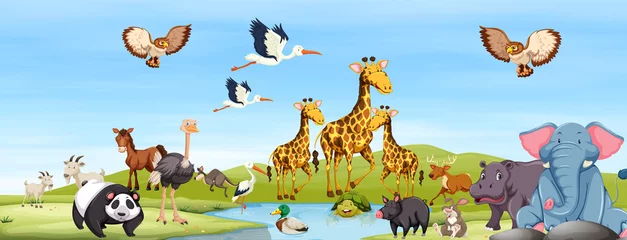 Happy Animals in the Nature