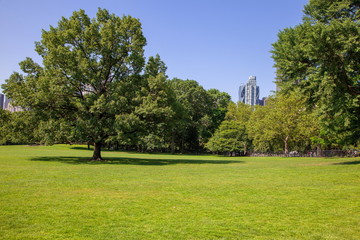 セントラルパーク