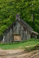 Hut in a wood