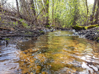 Obraz premium Potok lasu biegnący przez kamienie