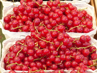 Markttag - Johannisbeere