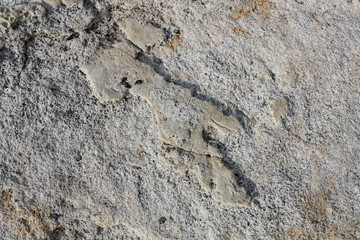 Close-up rough grungy cracked stone texture background. 