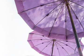 double purple big umbella on white background