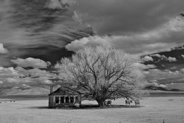 Lone School House on prairie with spectacular clouds,  Jordan Valley, Oregon 