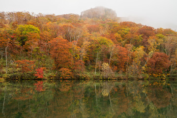 Maruike pond in autumn season, Nagano, Japan.