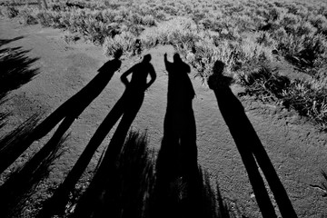 Four long shadows on dirt road disagreeing on direction, sagebrush desert, Nevada 