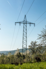 Obraz premium Power pylon on the green field
