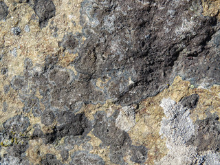 Rock stone surface texture. Old rough stone covered with lichen