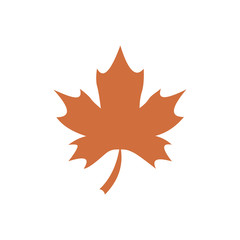 Fototapeta premium Maple leaf thanksgiving day flat icon vector
