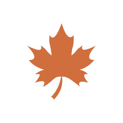 Maple leaf thanksgiving day flat icon vector