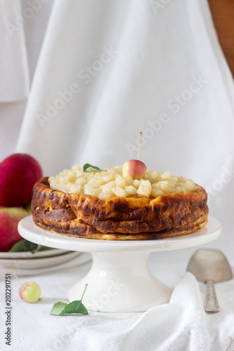 Cheesecake Or Casserole From Cottage Cheese With Apples Served