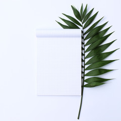 Palm leaves and a paper notebook with free space for text. minimalism, design, idea. 