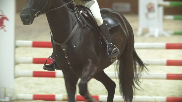 Equestrian rider on the ginger horse galloping at show jumping competition