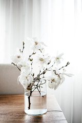 White magnolia twigs freshly cut from magnolia tree. Glass vase standing on wooden table with white magnolia flowers. First spring blossom, nature awakening.
