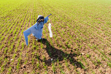 A homemade scarecrow made of an old polo shirt, an empty engine oil can and a plastic bag flying in...