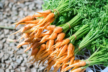 Stack of fresh baby carrots placed on table in market. Bunch baby carrot with green leaves Healthy food and organic vegetable from garden.
