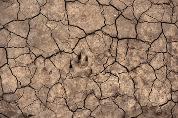 Cracked dry soil ground texture