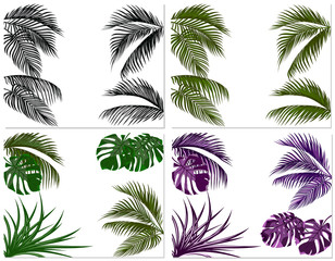 Fototapeta na wymiar Sets of colorful leaves of tropical palm trees. Monster, agave. Isolated on white background. illustration