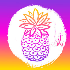 Vector Illustration. Summer pineapple. Tropical decorative gradient fruit icon. Hand draw paint ananas and circle splodge