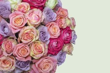 Bunch of multi-colored roses over beige background. Selective focus with sample text