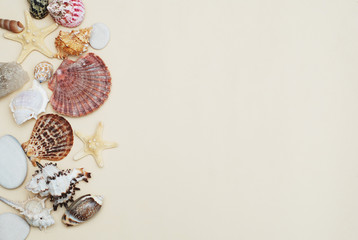 Obraz premium Shells and Stones over Ivory Background with Copy space for Text. Top View. Vacation Summer holliday.