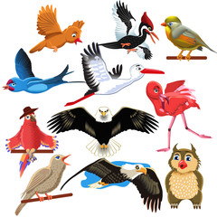 vector set of birds like eagle, woodpecker, stork, flamingo, parrot and owl isolated on a white background