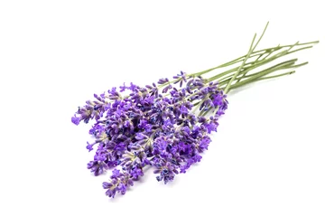 Rolgordijnen Lavendel Lavendel