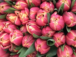 Tulpenstrau&szlig;