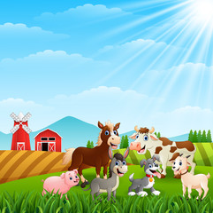 Happy animals at farm background