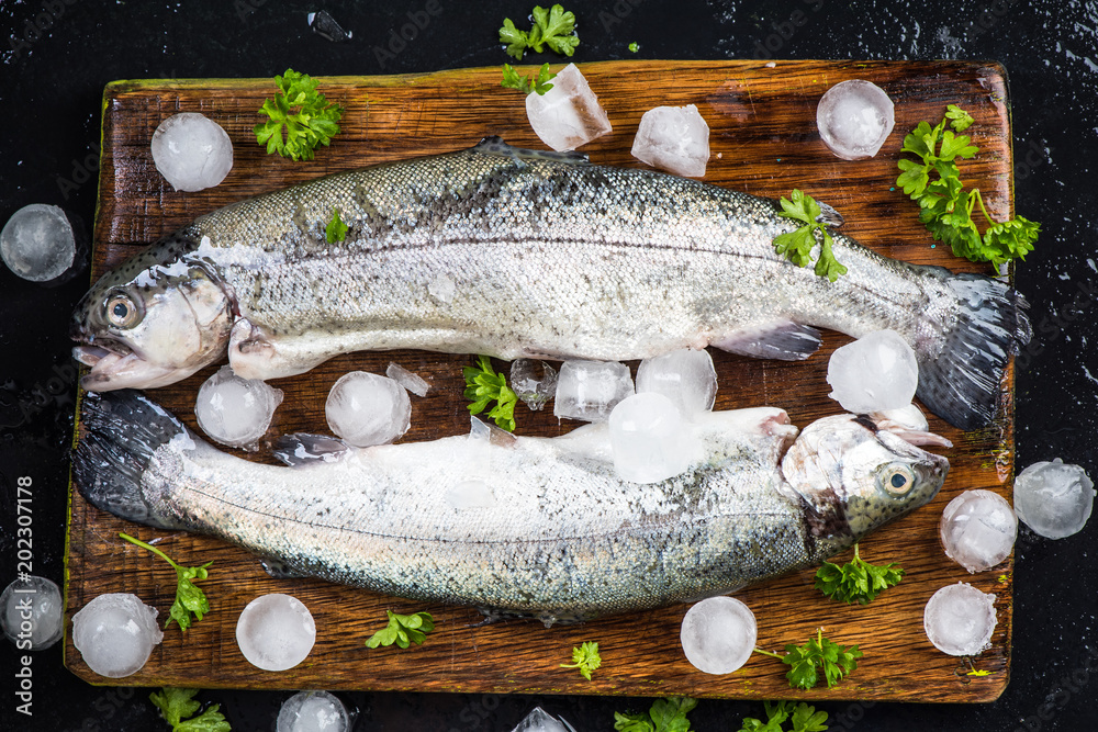 Wall mural Freshly catched trout fish with parsley and ice cubes