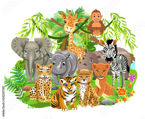 Jungle Animals Like Elephant Zebra Giraffe Lion Tiger In