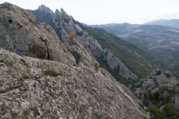 Fototapeta na wymiar Castelmezzano, Italien, Weltkulturerbe, Bergdorf, Süden, Süditalien, Stadt, Dorf