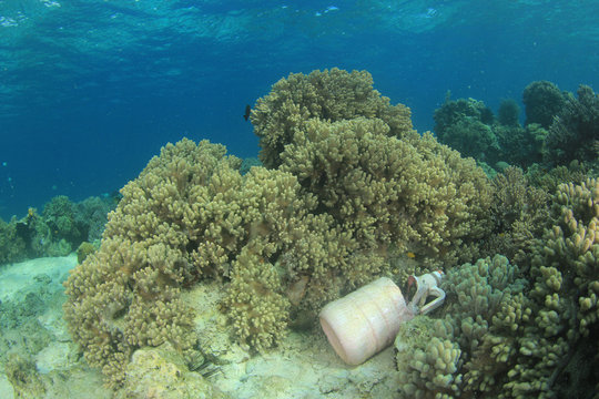 Plastic trash pollution of coral reef underwater