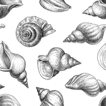 Seamless background of the seashells sketches