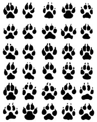 Black print of paw of dogs, vector illustration