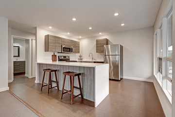 New modern apartment with grey kitchen