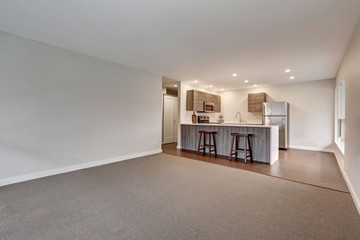 Fototapeta premium New modern apartment with grey kitchen