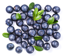 Blueberries isolated on white