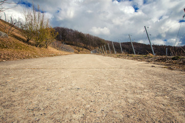 Low angle view to an old street in the German vineyards