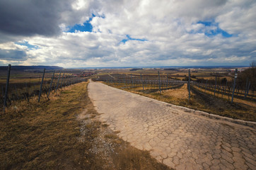Fototapeta na wymiar Rural landscape view from the vineyard in springtime