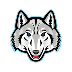 Artic Wolf Head Front Mascot