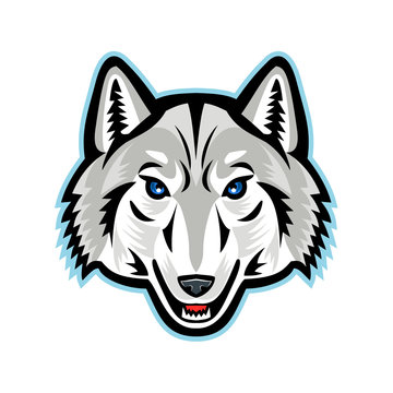 Artic Wolf Head Front Mascot